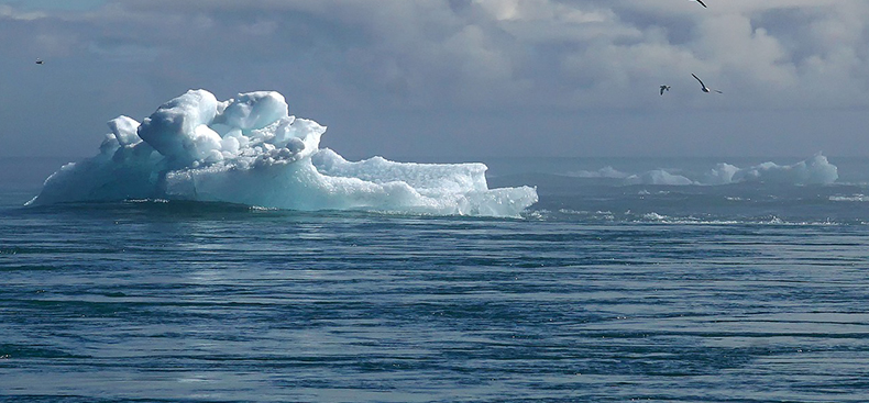 Cambio Climático y sus Impactos Globales